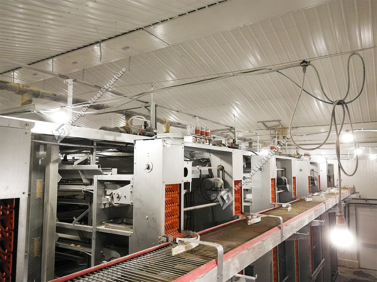 Sistema de recogida de huevos