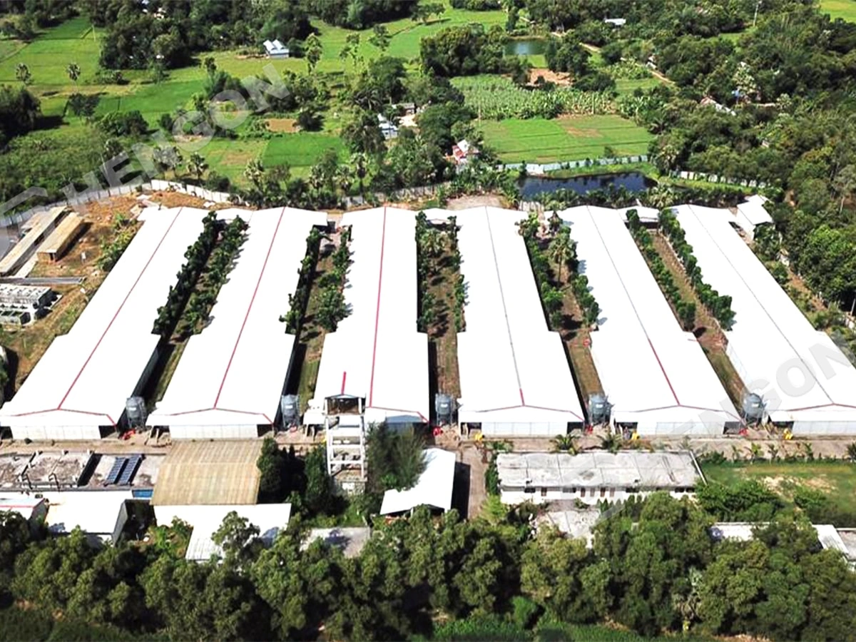 Bangladesh - Gallinero