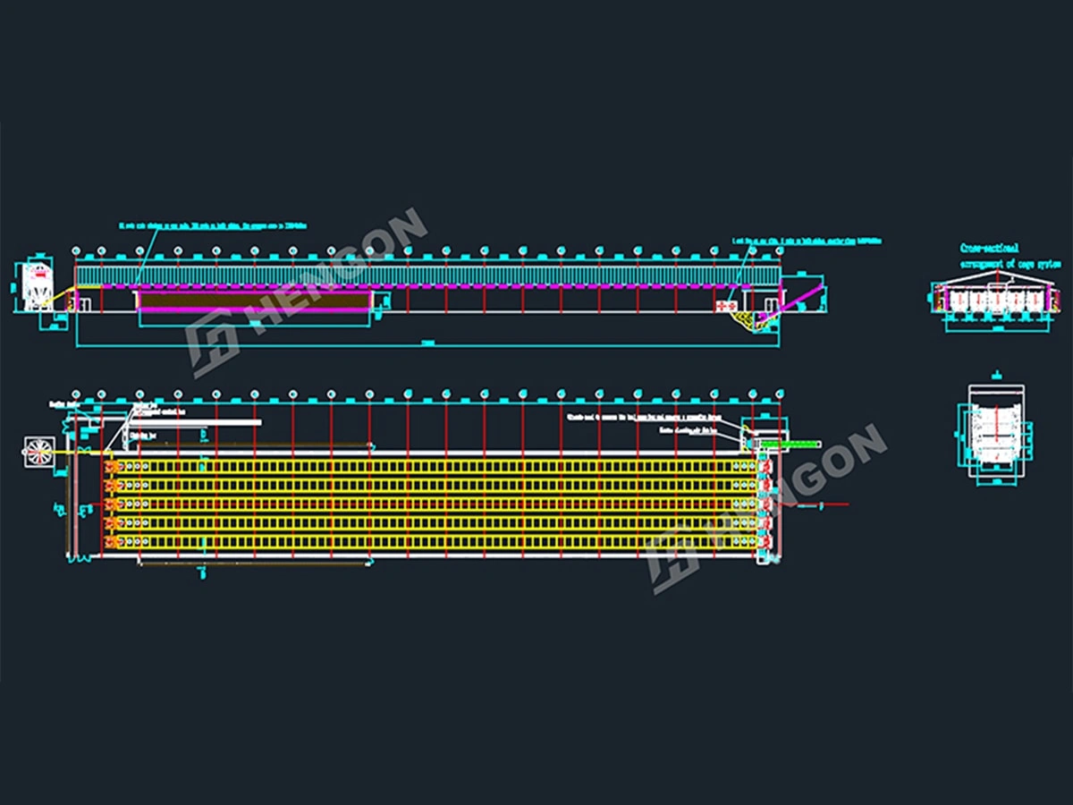 Filipinas: pollos de engorde en jaulas